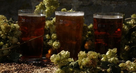 The Finished Product! Our Real Ales in pint glasses